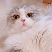 매일 즐겁고 행복할거야