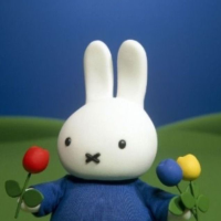 사심 가득 담은 매일의 기록