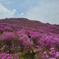 이상한 나라의 럭키룡짱