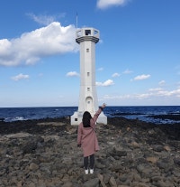 홍베리의 평화로운 일상