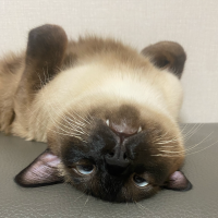 지금 우리 오늘 내일 모레