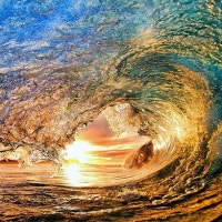 남국의 나른한 분위기