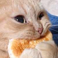 먹보리의 먹고 보는 일기