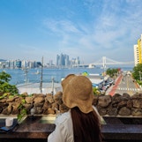 비비모도리의 여행