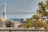 ljsyou2128님의블로그