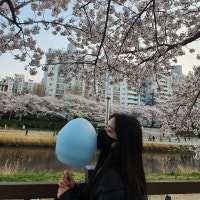 소세지의 냠냠일상