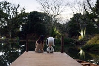 꿈꾸는앤의 초록색지붕집