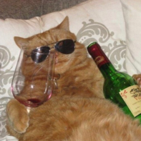 어차피 협찬 안들어와서 내돈내산 극사실주의 블로그