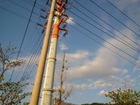 프랭클리 어바웃