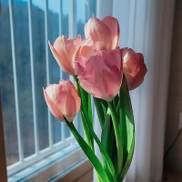 버라이어티라이프 : D