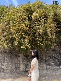 기억될 모든 기록