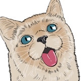 적절한 쵸미의 디지털공작소!!