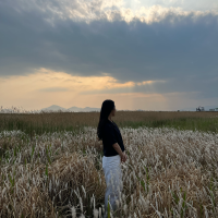 일상을 여행처럼