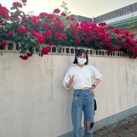 my blog ʕ •̀ o •́ ʔ