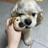 숟가락으로 세계정복