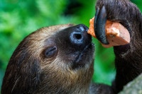 먹어도 먹어도 배고픈 영혼