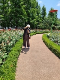 배꽃 하얗게 피던 날