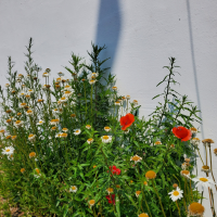 Living in the moment