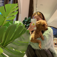 ᵢₜ'ₛ ₐₗwₐyₛ ₛₚᵣᵢₙg