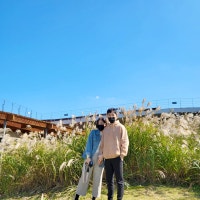 달을 품은 냥이