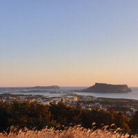 라일라의 행복한 세상여행