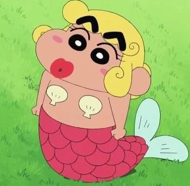 프로필