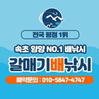 010-5647-4747 갈매기배낚시