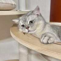 먼지랑 함께하는 집사 일상