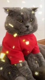 H's 맛집.여행 일지