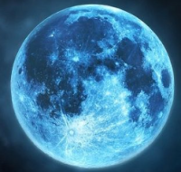 너 하고 싶은 거 다해