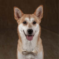 슬기로운상경생활