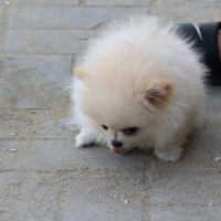 최기린의 적당히 사는 삶