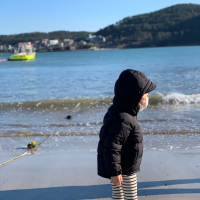 내가 가는곳이 맛집