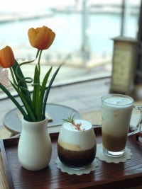 노는게 제일 좋아 :p