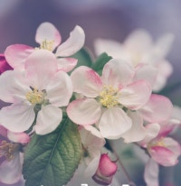 겨울그리고너♡