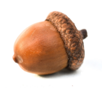 도토리 인테리어 맛집