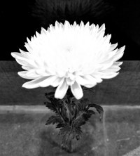 누리후불제상조1533-1542