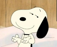 리뷰하는 쿠키누