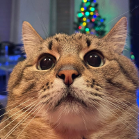 얼렁뚱땅 일기장