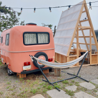 호기심많은 해피독의 알찬 일상