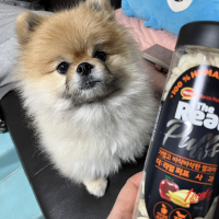 kkasileeee 님의블로그