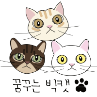 꿈꾸는 빅캣의 타로카드 이야기