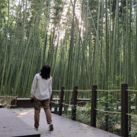 끄적 끄적, 자몽이의 여행 & 맛집 이야기