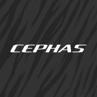 세파스 공식 블로그