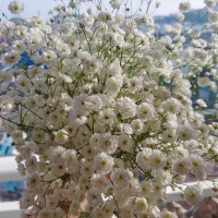 소소하지만 꽤 괜찮은 일상