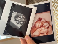 #홍콩이 소소 블로그#