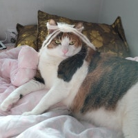 ♡휘뚜루 맛뚜루♡