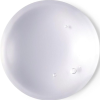 오늘이 모여 늘