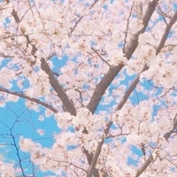 띵생 살기 프로젝트