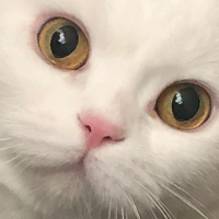 융아의 동글동글 로그 ✌( ・ ̫・ )